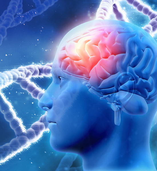 Illustration of human brain with red highlighted stroke area representing neurological emergency.