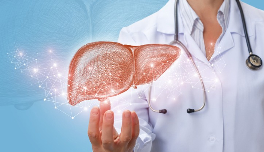 Doctor showcasing advanced liver care with modern HPB treatment at Vasavi Hospitals Bangalore