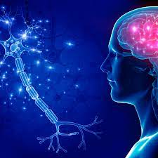 3D illustration showing neuron connections and human brain activity related to neuroscience care.