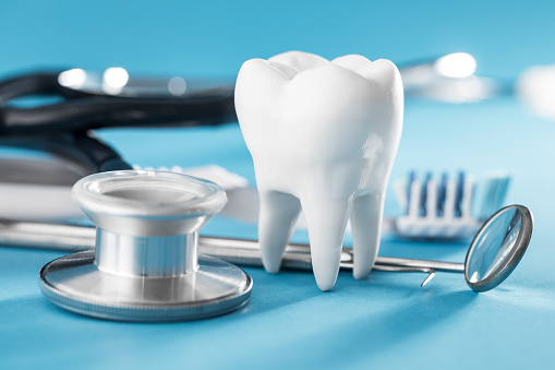 Tooth model and tools at Vasavi Hospitals dentistry.