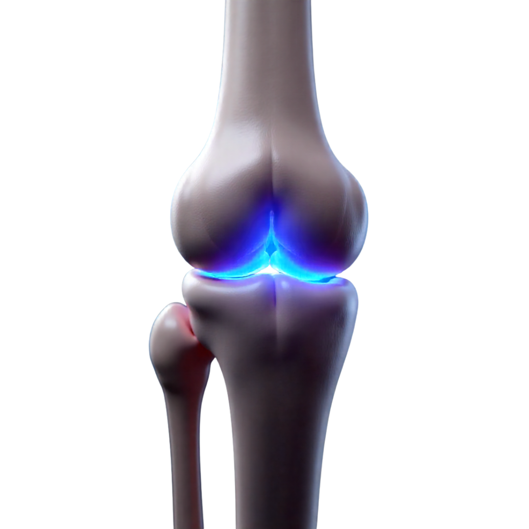Orthopedic Treatment at Vasavi Hospitals Bangalore