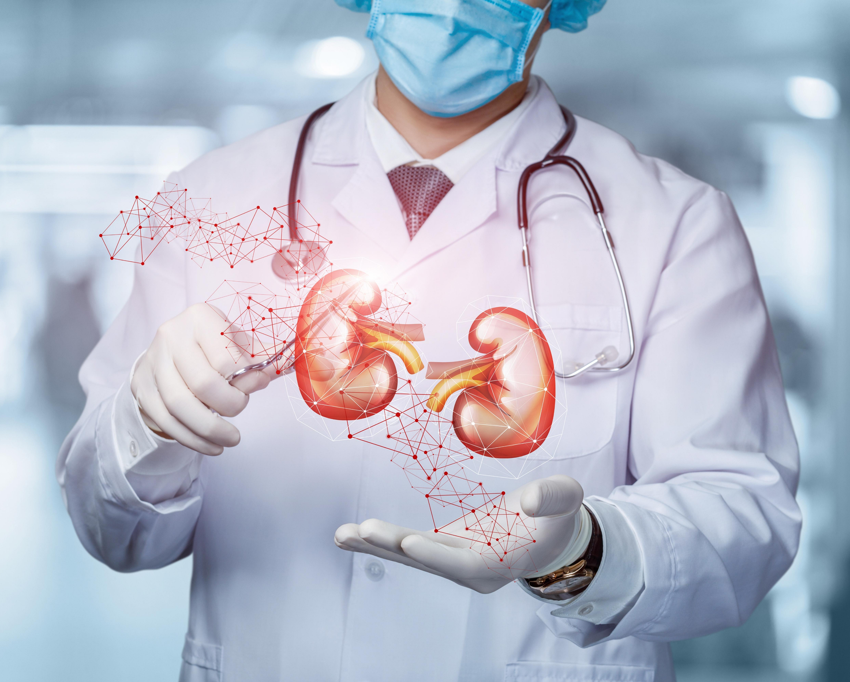 Urologist demonstrating kidney care with advanced technology at Vasavi Hospitals Bangalore.